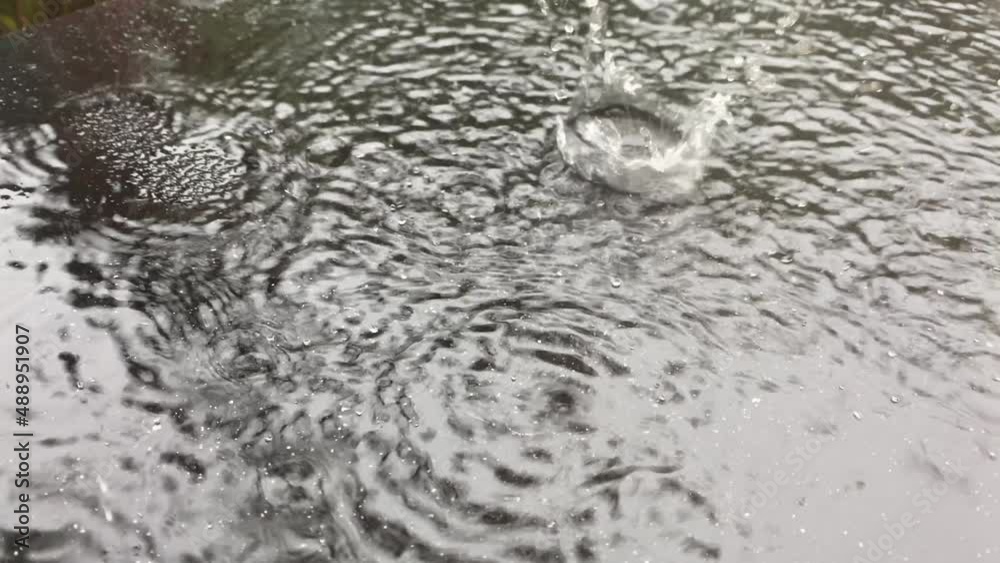 Heavy raindrops on a dark surface. Heavy raindrops on a dark surface.