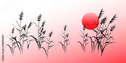 Thickets of reeds against the background of sunset (sunrise) of the sun. Silhouette abstract landscape vector drawing. 