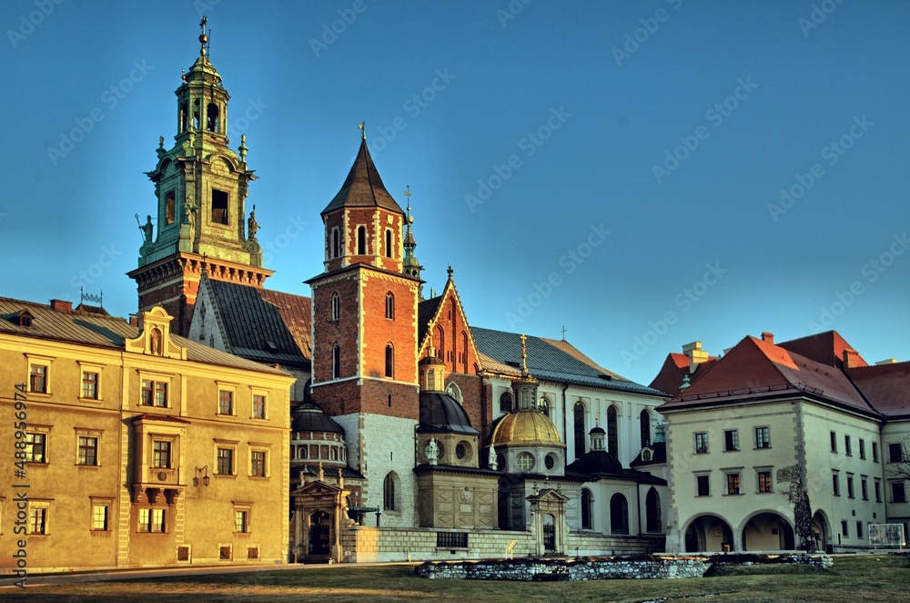 Obraz premium Wawel castle