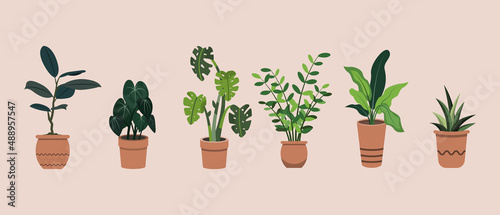 Group of Hand Drawn Flat Potted Houseplants illustration