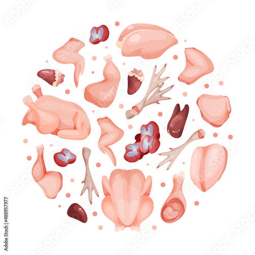 Fresh raw chicken meat in shape of circle. Organic meat products banner, poster, card, template design vector illustration