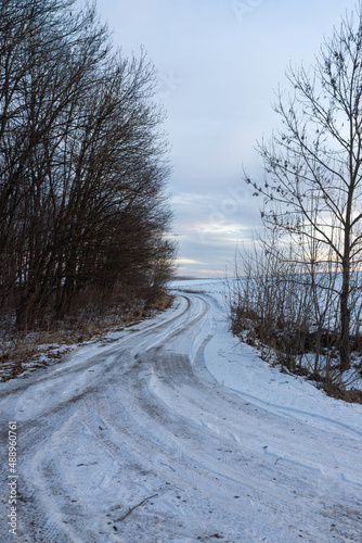 Snowy road in a field leading to pine forest. Winter road to nowhere in sunny day, snow-covered fresh car track. Car traces in a deep snow of remote rural area © Oleh Marchak