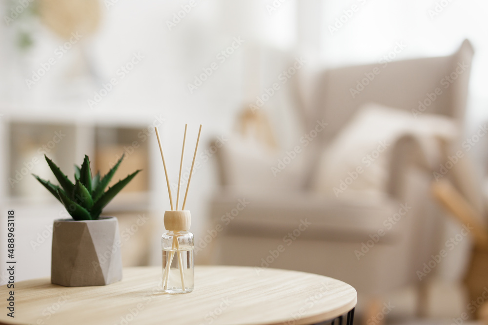 close up of reed diffuser and house plant aloe vera on wooden table in bright living room - obrazy, fototapety, plakaty 