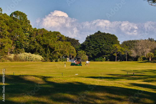 Wild birds on a golf course in Stuart Florida