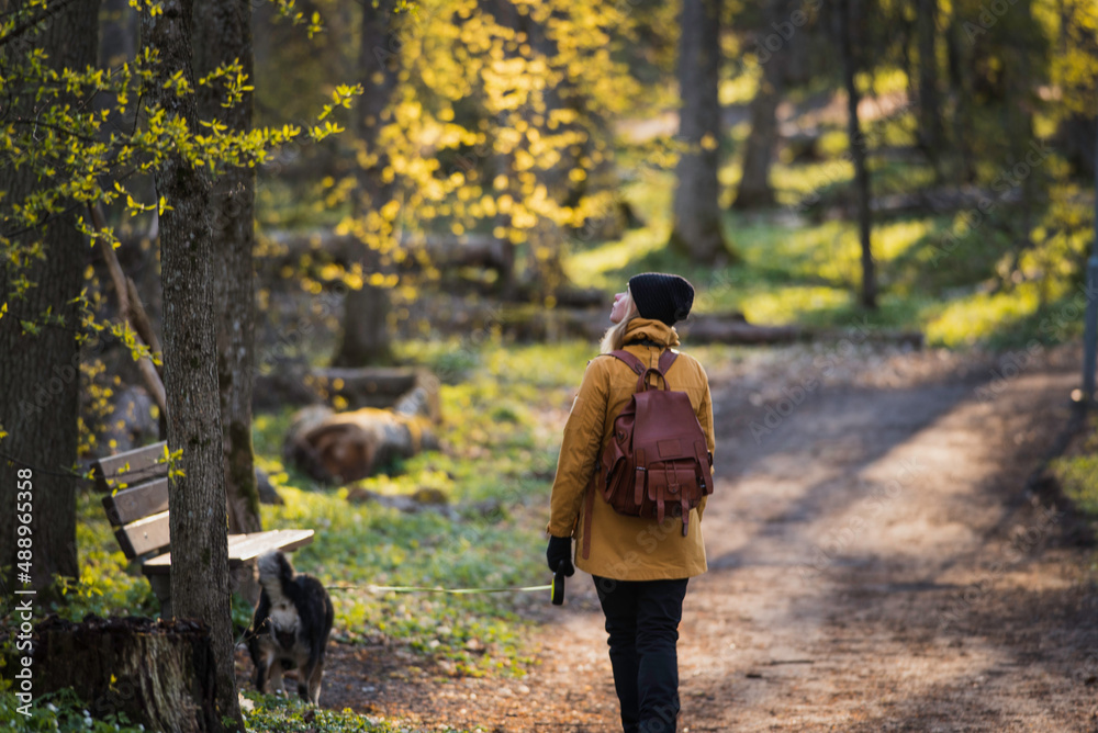 Woman and dog on leash walk on trail in spring forest Woman and dog on leash walk on trail in spring forest