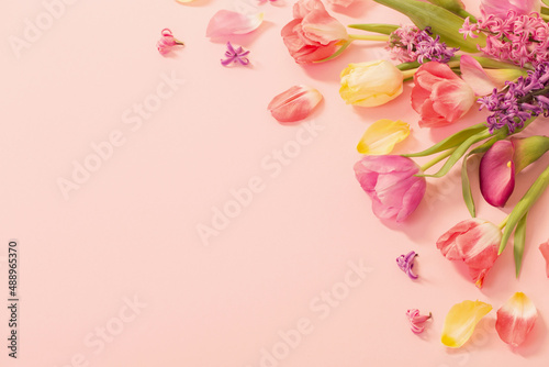 spring flowers on pink background #488965370