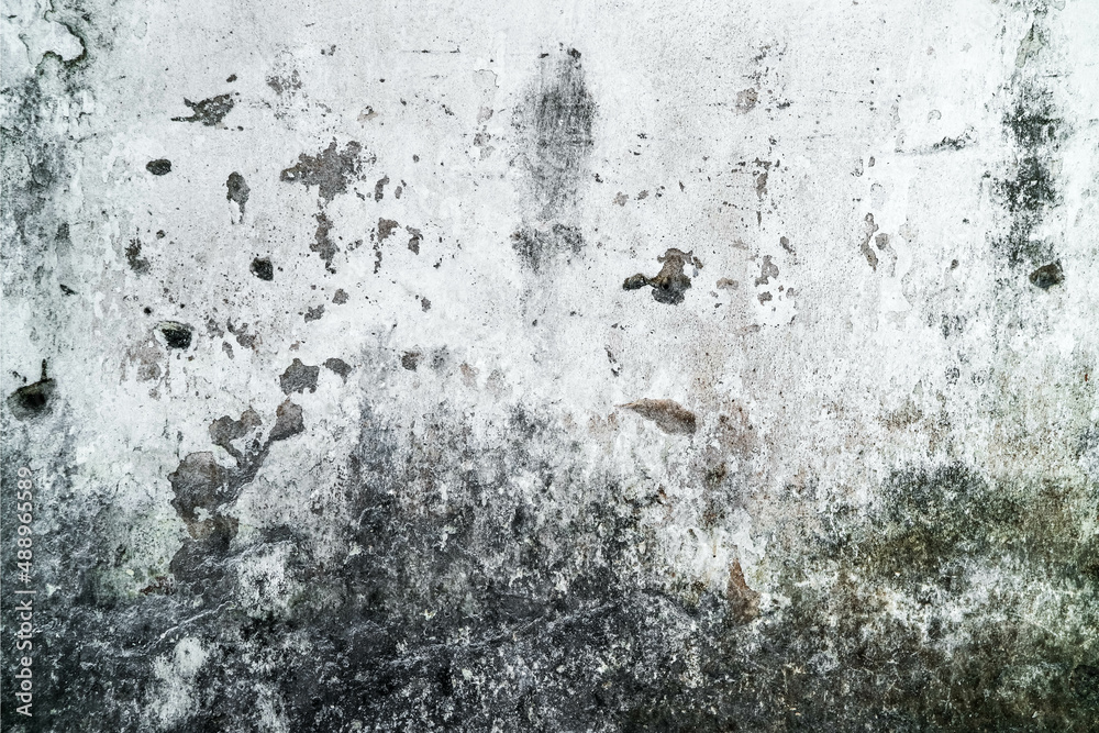 Obraz premium Textured dirty rough cement concrete background. Grunge wall for pattern and background.