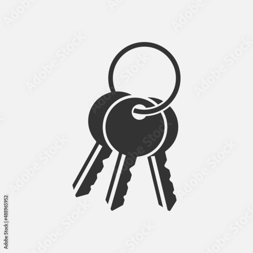 Keys Icon isolated flat design vector illustration.