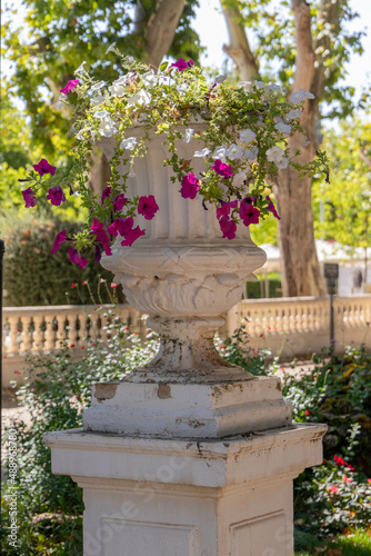 white decorative stone flowerpot with petunia flowers in the park on a sunny spring day