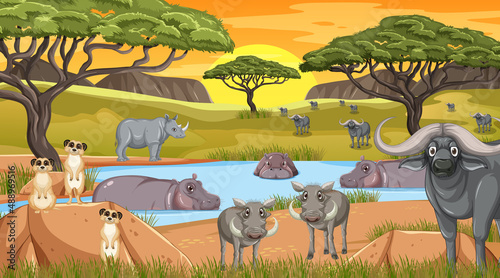 Savanna forest scene with wild animals