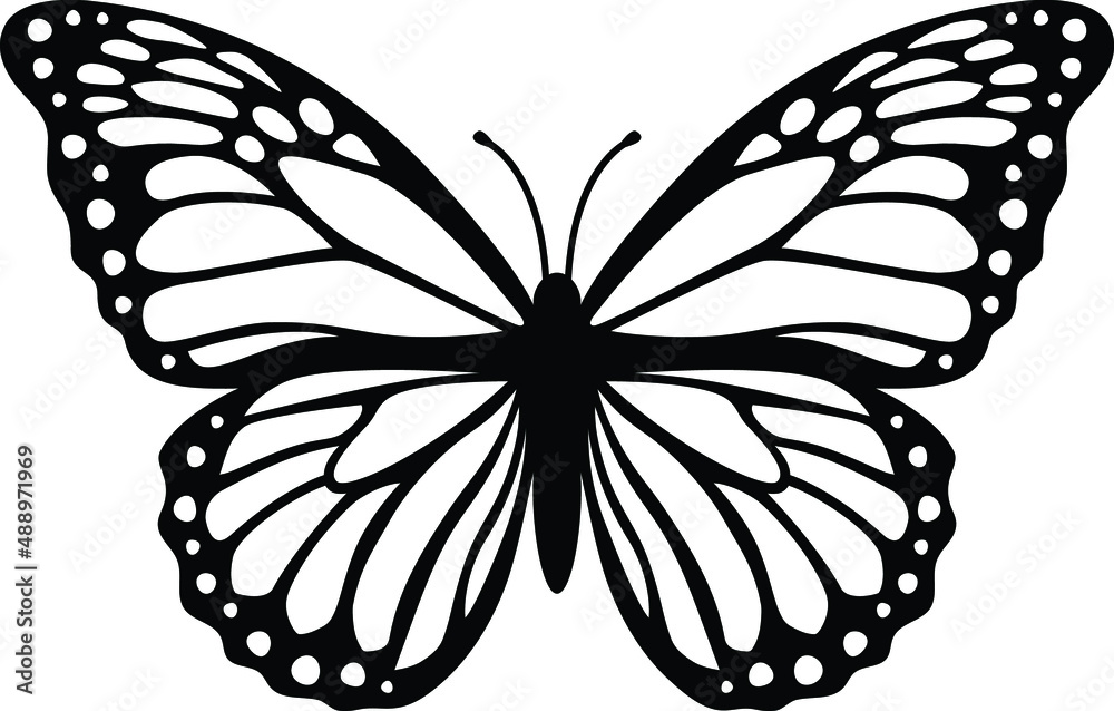Butterfly Illustration Butterfly SVG EPS PNG Stock Vector Adobe Stock