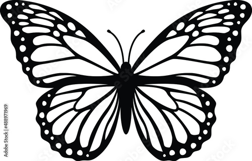Butterfly Illustration Butterfly SVG EPS PNG
