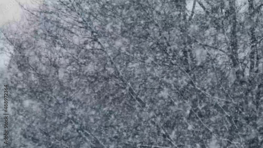Heavy falling snow in slow motion 4K with big snowflakes falling down from the cloudy sky in winter. Heavy falling snow in slow motion 4K with big snowflakes falling down from the cloudy sky in winter.