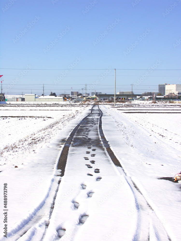 足跡とタイヤ跡のある雪の農道風景