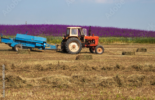 tractor rides on a field with hay on the background of green grass and lilac wild flowers  Bulgaria