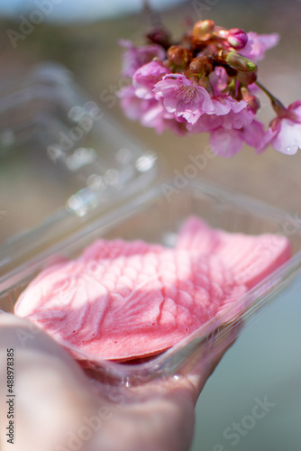 Wallpaper Mural 青空の下で満開の濃いピンクの桜、河津桜 Torontodigital.ca