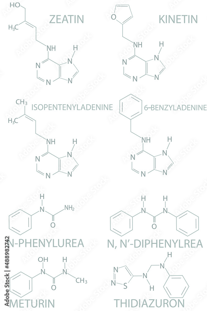 Structural Chemical Formulas Of Natural And Synthetic Plant Hormones Cytokinins Stock Vector