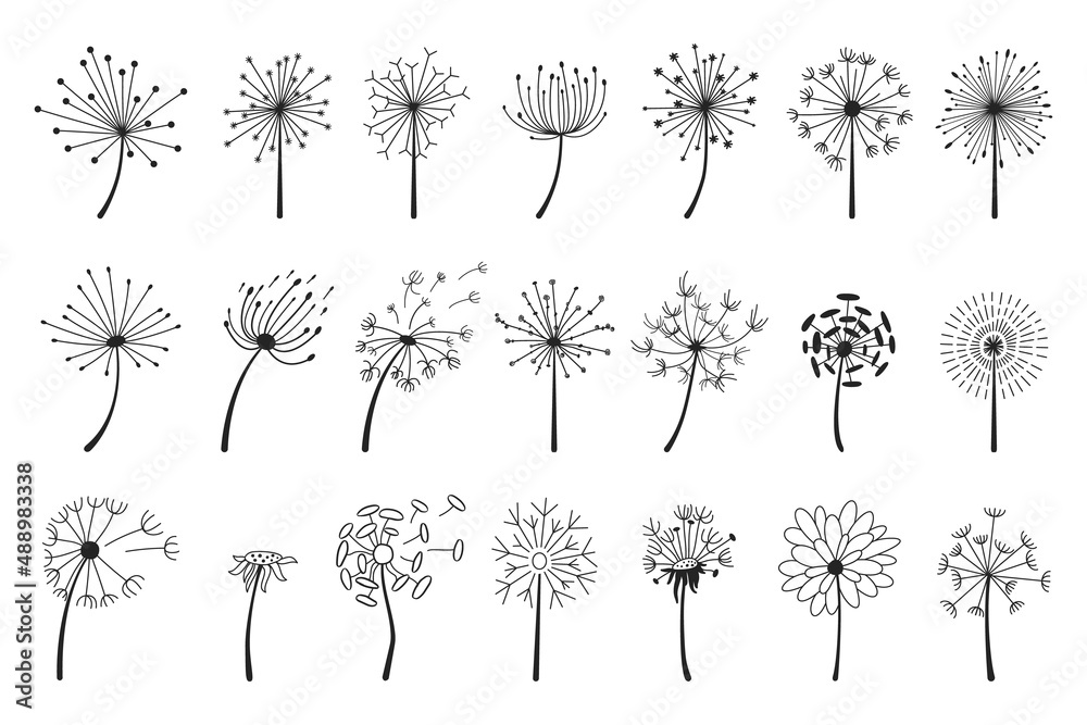 Hand drawn dandelions with flying seeds, dandelion flower heads. Abstract blowball flowers doodle silhouette, spring blossoms vector set. Illustration of fluffy blossom meadow - obrazy, fototapety, plakaty 