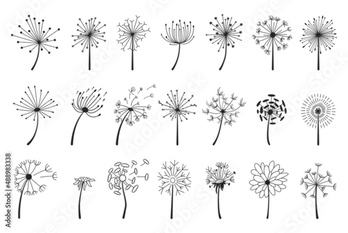 Hand drawn dandelions with flying seeds, dandelion flower heads. Abstract blowball flowers doodle silhouette, spring blossoms vector set. Illustration of fluffy blossom meadow