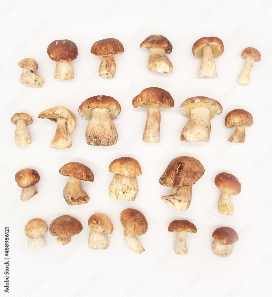 Beautiful fresh porcini mushrooms in metal basin on dark background isolated season healthy food Beautiful fresh porcini mushrooms in metal basin on dark background isolated season healthy food