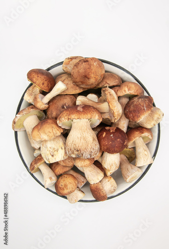 Beautiful fresh porcini mushrooms in metal basin on dark background isolated season healthy food 