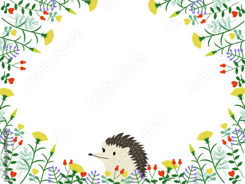 hedgehog and yellow carnation flower