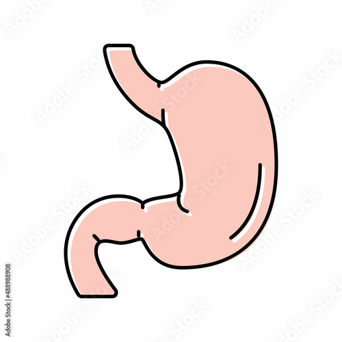 stomach human organ color icon vector illustration