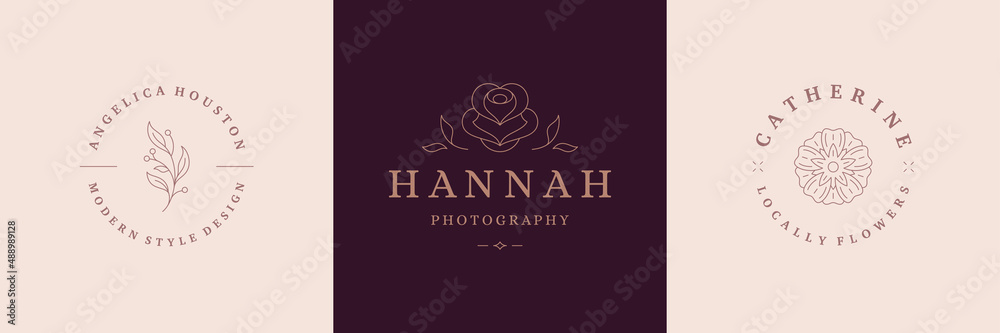 Flower logos emblems design templates set with botanical plants and rose vector illustrations minimal linear style Flower logos emblems design templates set with botanical plants and rose vector illustrations minimal linear style