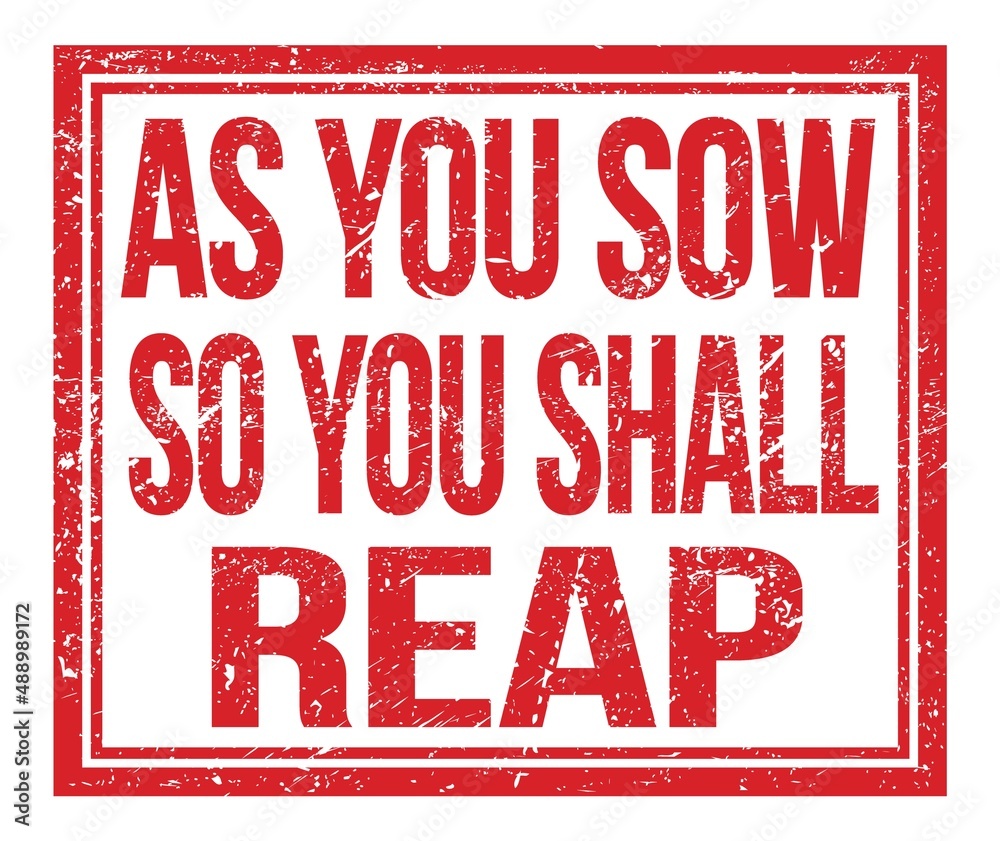 AS YOU SOW SO YOU SHALL REAP, text on red grungy stamp sign AS YOU SOW SO YOU SHALL REAP, text on red grungy stamp sign