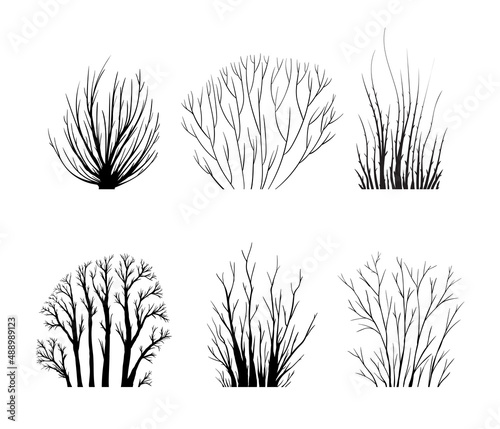 Tela Bare bush silhouettes set, leafless bushes isolated on white, various shrubs wit