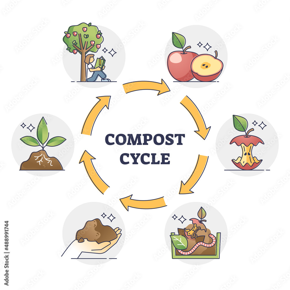 Vetor de Compost cycle with natural food waste recycling process