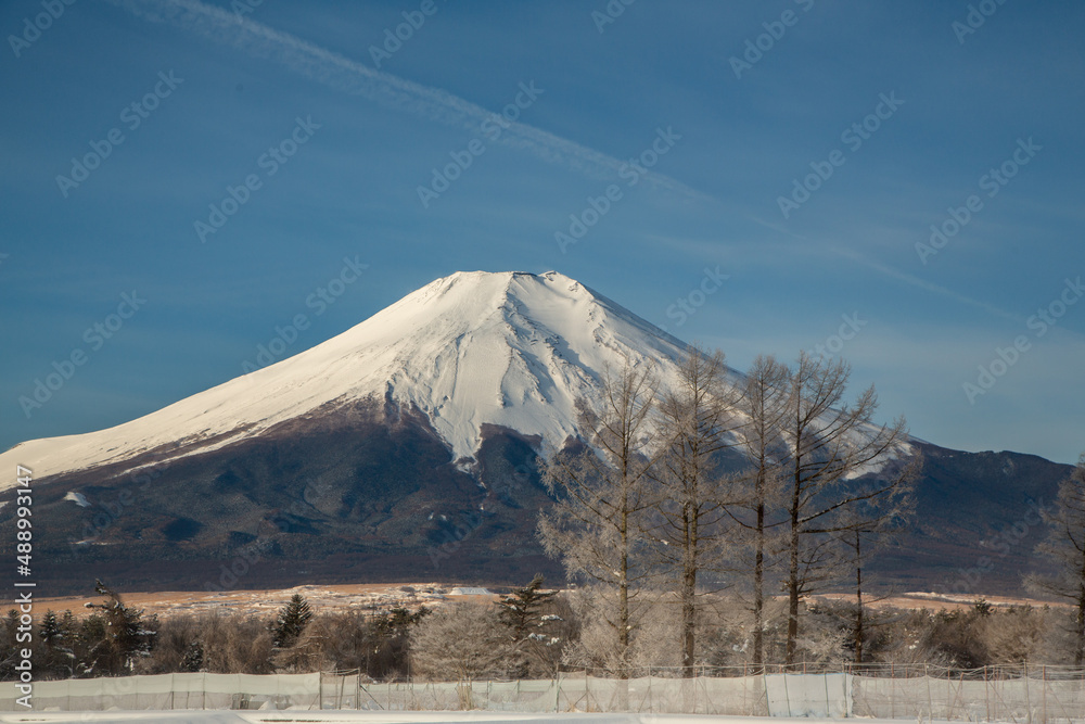 Obraz premium 山中湖村花の都公園から霧氷と富士山雪景色