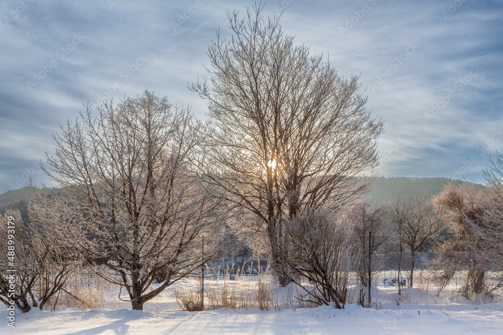 山中湖村花の都公園から朝日に輝く霧氷