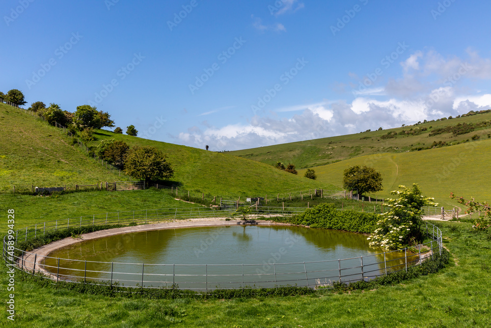 A drinking pond for farm animals in Sussex