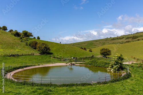 A drinking pond for farm animals in Sussex