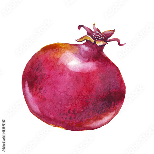 Pomegranate.  Watercolor illustration. Hand-painted image 