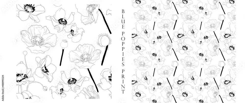 Obraz premium Lineart blue poppies print. Floral doodle pattern.