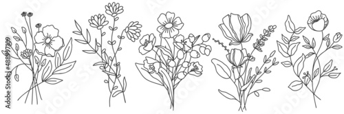 Vector line art hand drawn bouquet of flowers