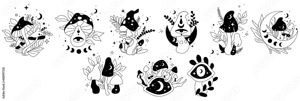 Fototapeta premium Mystical mushrooms. Hand drawn vector. Esoteric clipart
