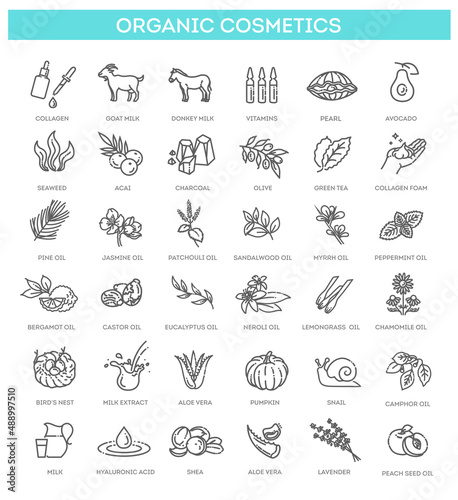 Vector set of natural ingredients and oils for cosmetics in linear style