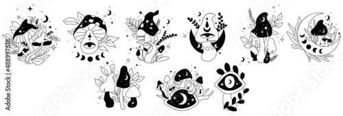 Mystical mushrooms. Hand drawn vector. Esoteric clipart