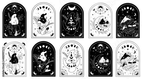 Mystical mushrooms. Hand drawn vector. Esoteric clipart