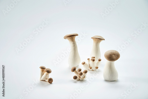 King oyster mushrooms photo