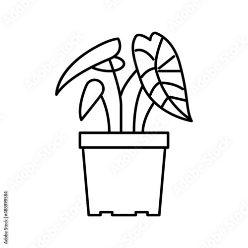 tropical houseplant line icon vector illustration