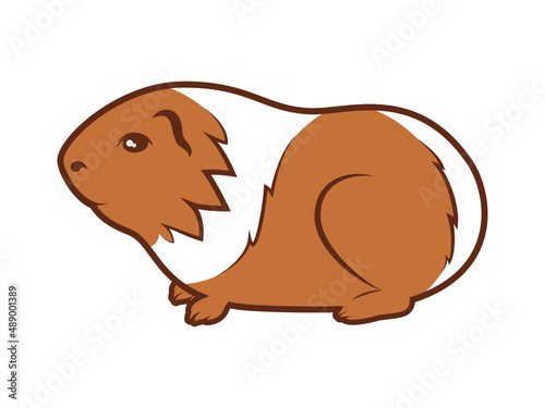 Cute guinea pig with two colors icon vector. Adorable white brown guinea pig vector icon isolated on a white background. Favorite pet clip art