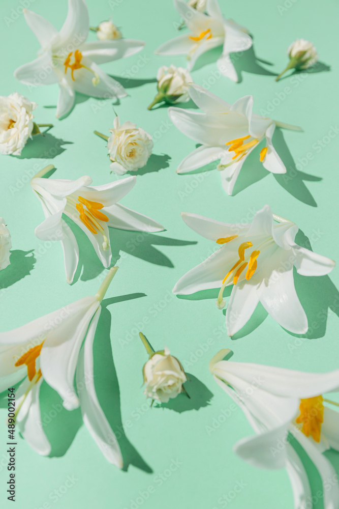 Creative summer composition made of beautiful white lily flowers on pastel mint background with shadows. Nature concept. Creative summer composition made of beautiful white lily flowers on pastel mint background with shadows. Nature concept.