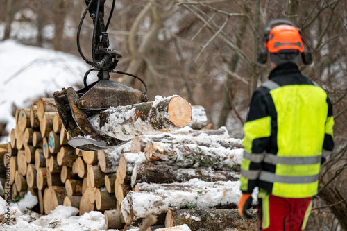 Hard work in forestry in winter. Lumberjack and tractor with timber tongs. photo