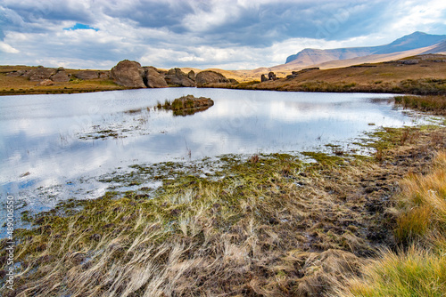 Travel to Lesotho. Algae and aquatic vegetation in a pond in Sehlabathebe National Park