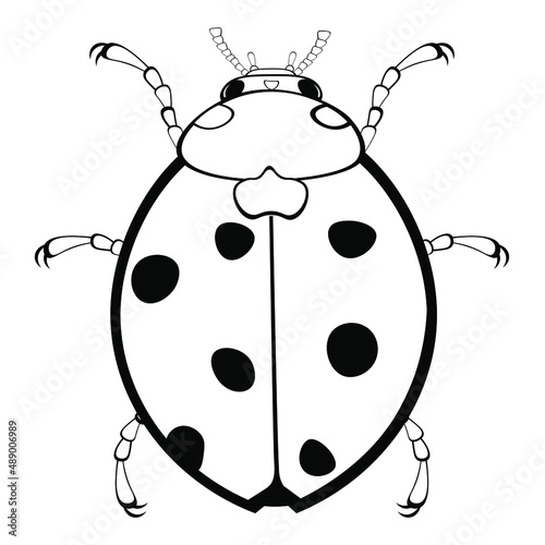 Black and white drawing of a ladybug for coloring. Insect for coloring book. Vector illustration