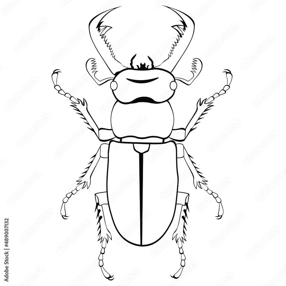 Black and white drawing of a stag beetle for coloring. Horned beetle